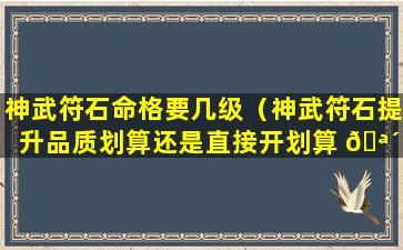 神武符石命格要几级（神武符石提升品质划算还是直接开划算 🪴 ）